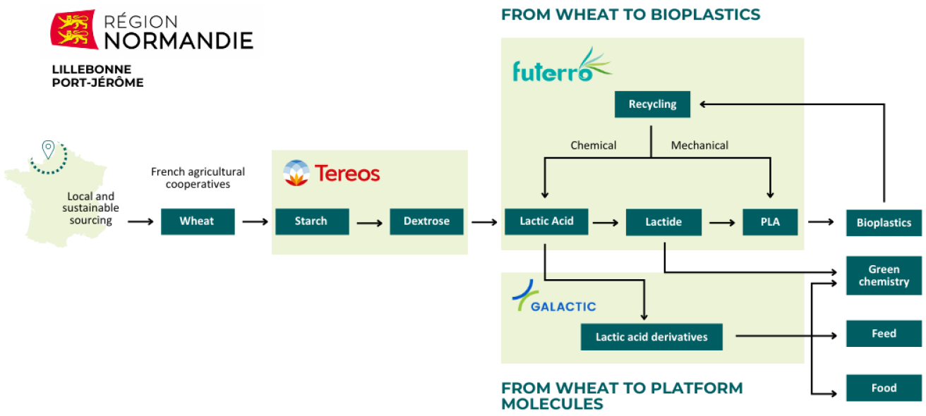 From Wheat to bioplasitcs