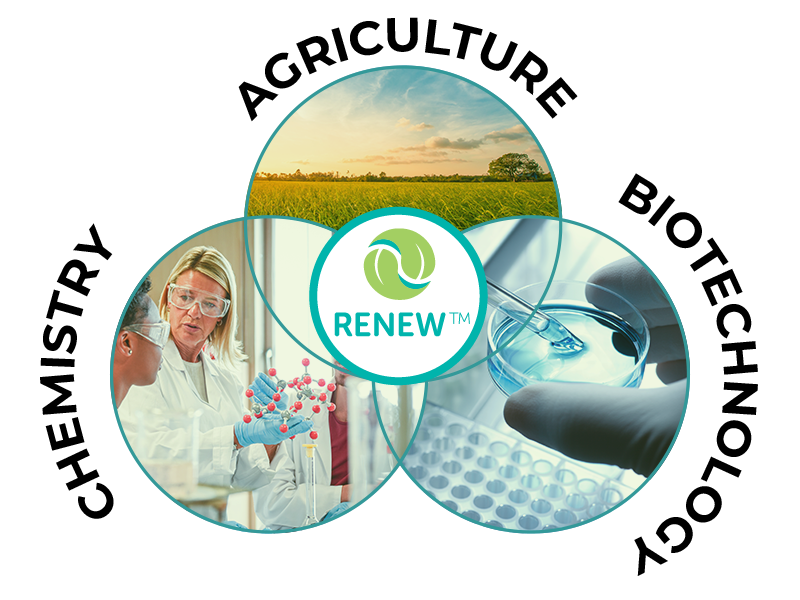 What is RENEW™